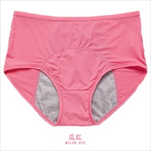 外贸跨境TEMU大码10码网孔透气经期前后防漏生理裤中高腰女士内裤