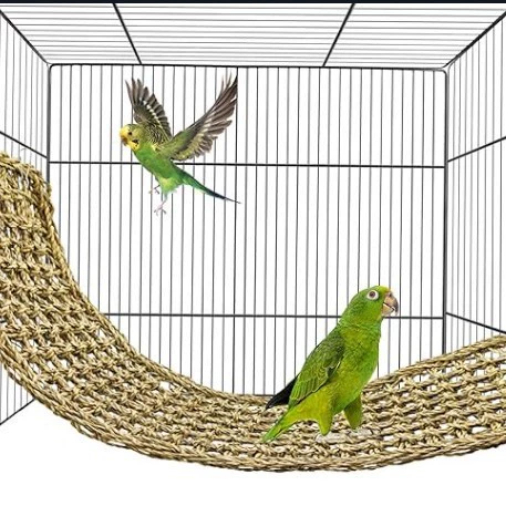 Попугай Игрушка Трава Чистая Попугай Облако Лестница Восхождение Лестница Птица Восхождение Рама Попугай Восхождение Лестница Жевать Игрушки Птицы Гамак Качели