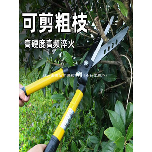��ƺ���޼��־G���޼����@����֦�������޼����߲�仨����~��֦