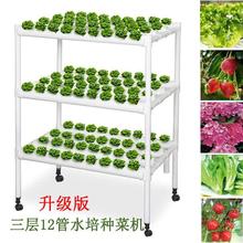 ˮ��ܵ�ʽ�߲˷N�˙C�o�������O���Ԅӻ�����ˮ���Nֲ���~�˹���