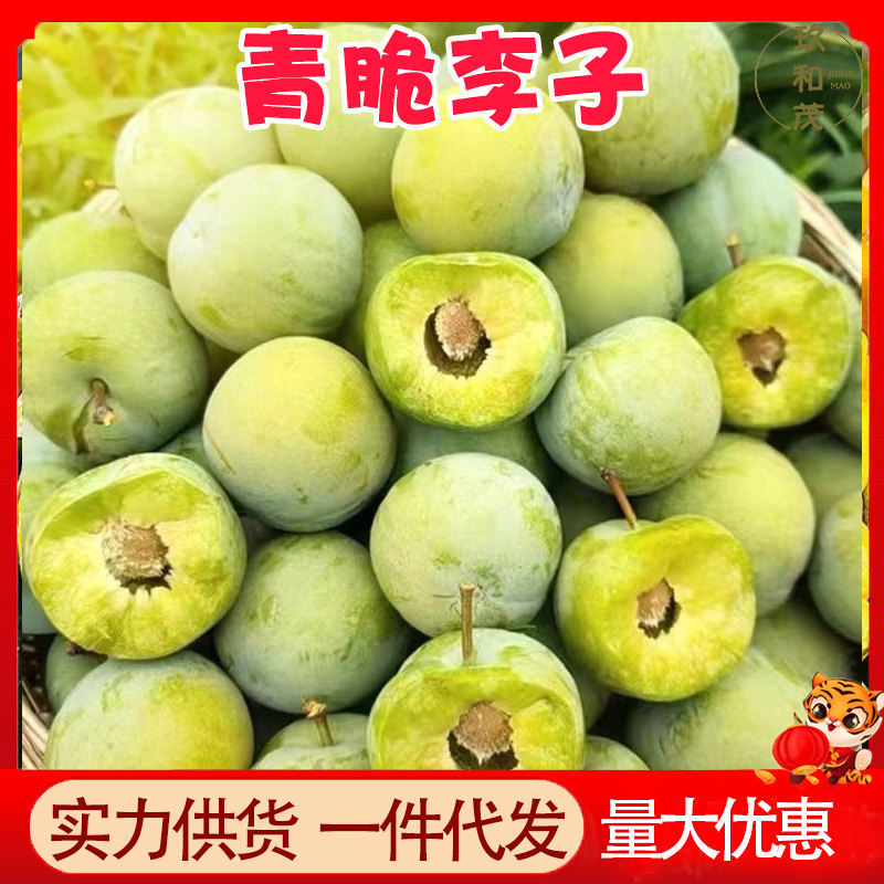 Authentic Wenchuan Green Crisp Plums 2.5kg Fresh Seasonal Fruit for Pregnant Women Wholesale Free Shipping Freshly Picked Sichuan Seedless Plums Authentic Wenchuan Green Crisp Plums 2.5kg Fresh Seasonal Fruit for Pregnant Women Wholesale Free Shipping Freshly Picked Sichuan Seedless Plums