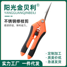 �S��ժ��������֦��@��ϡ��ժ����������֦���ü����߹���ժ��