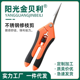 厨用剪刀;修枝剪;家用剪刀