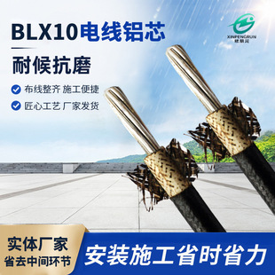 ����늾���|�Xо��Ƥ�����z�^��BLX10늾��Xо��Ƥ�L�꾀