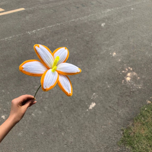 �S�����lŤŤ����Ʒ�ٺϻ���֧���滨����diy��������Ʒ�[���ֹ�