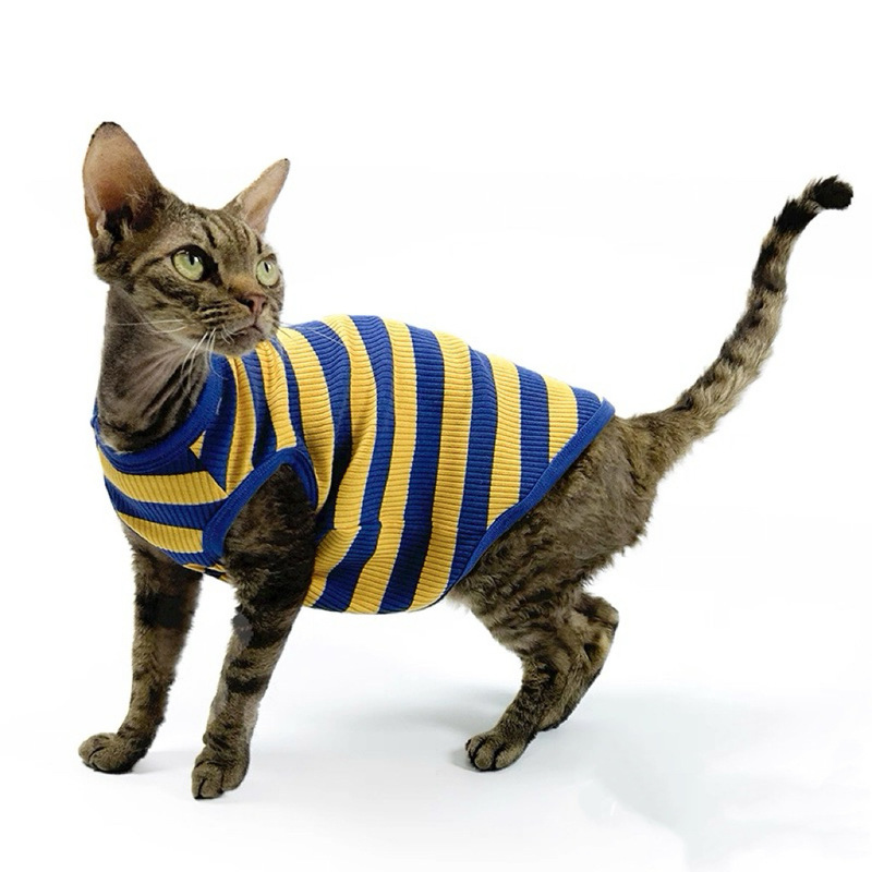条纹空调服背心好穿夏季薄款斯芬克斯猫德文无毛猫衣服透气轻薄|undefined