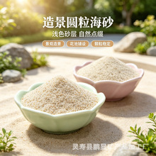 批发圆粒海沙幼儿园海砂多肉铺面鱼缸底沙宠物浴沙无尘水洗砂