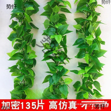 �����p�@�ړ����{�Gֲ�l���g����ˮ���ٻ������b�ˮ���ڳ��