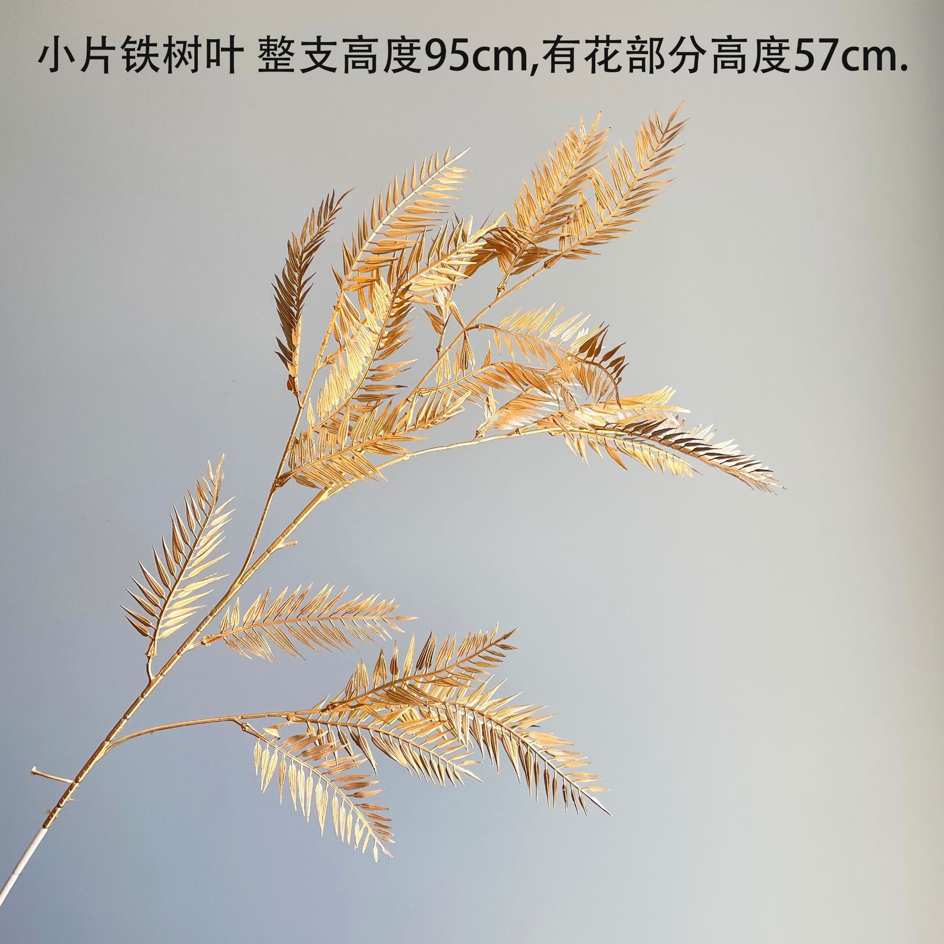 SKU12_颜色_小片铁树叶