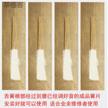 ���J�z�͞������Ƭ�{�{���{�{�{�{���� �S��ֱ�N��ƷëƬ