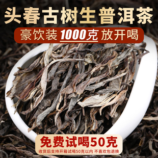 ����ն��� ����ɢ�����l ���w�Ř���u���^������ظʿڼZ������