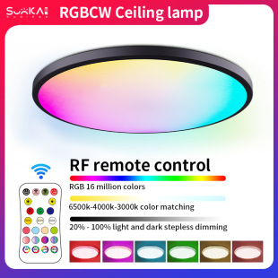 Amazon new ceiling lamp RGBCW full color dimming color intelligent RF remote control bedroom round led ceiling lamp