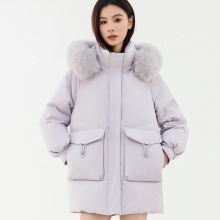 ����ë���Ѽ����ñ����2025�¿�Ů���г������޷��Ӻ񼫺�������
