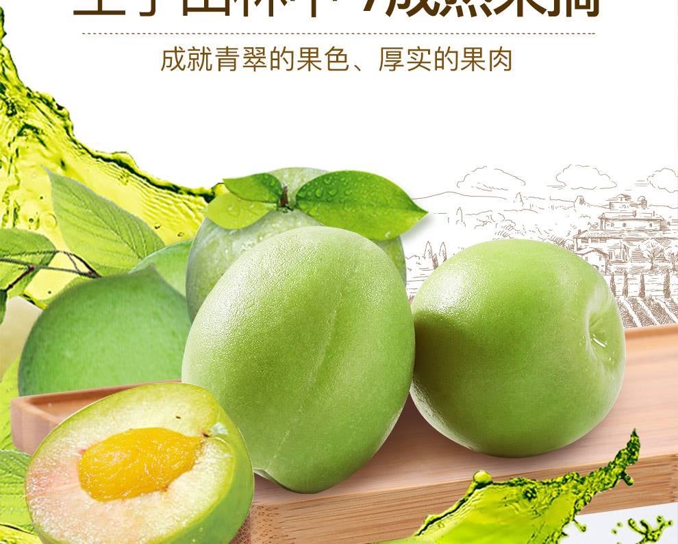 青梅脆爽青口梅500g散装称斤酸脆凉果水果蜜饯果脯酸梅子孕妇零食-阿里巴巴