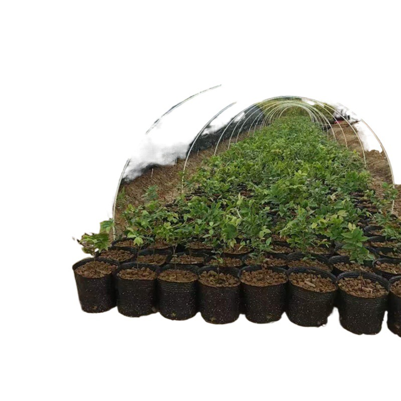 야채 재배 비계 활 비계 야채 창고 브래킷 단열 창고 비계 보육 아치형 즙이 많은 유리 섬유 막대 야채 밭