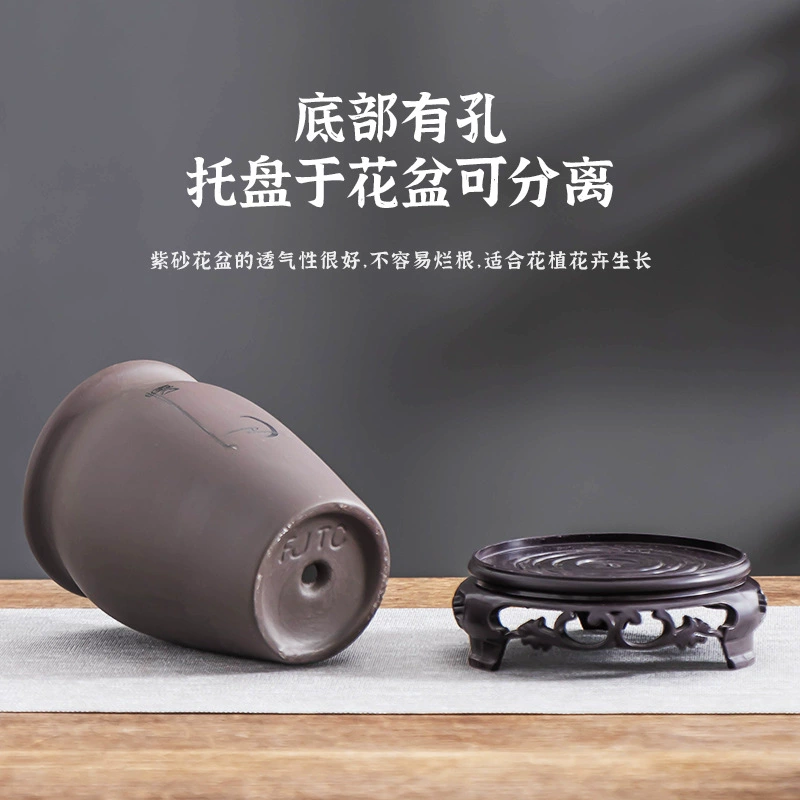 Китайский стиль, фиолетовый песок, июньский снег, бонсай, старый сучок, офисное зеленое растение, настольное растение, простое в уходе, маленькое высокое горшковое украшение