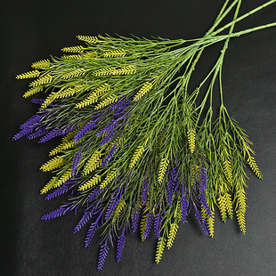 �羳���滨Ѭ�²ݼٻ����뻨����@�ֻ�Y����ֲ��b廨����