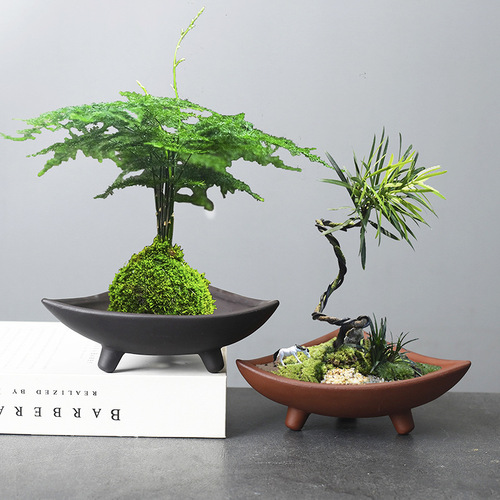 Wholesale creative personalized asparagus special ceramic flowerpot plant indoor micro landscape purple sand fortune tree potted decoration