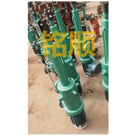 DT500电动推杆 DTZ电动推杆 平行式液压推杆图片