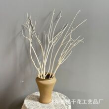 ��ɫ����ľ��֦�����͏d�����c���T�bɘ�֦�ܘ����Ŀ�֦