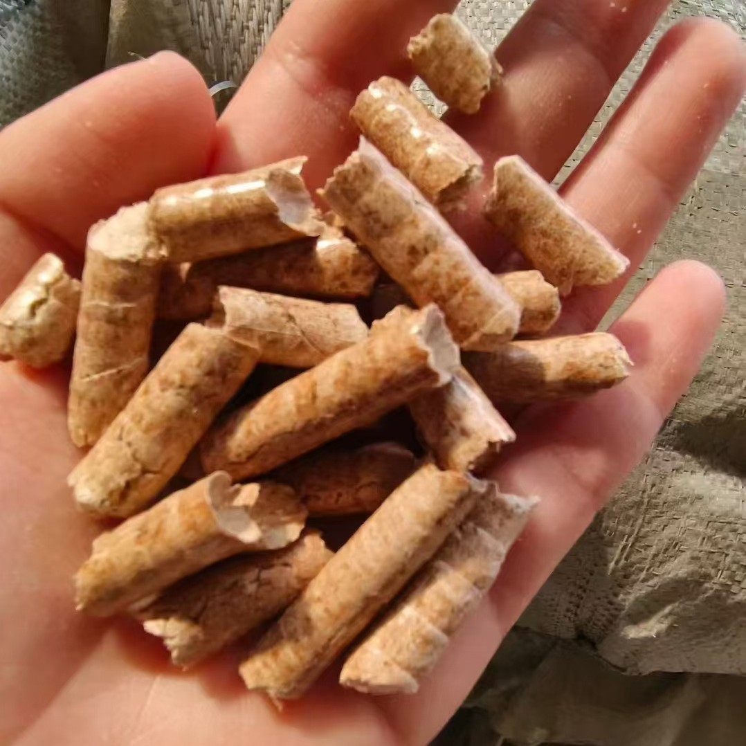 2025-03-27 16:00:27.jpg