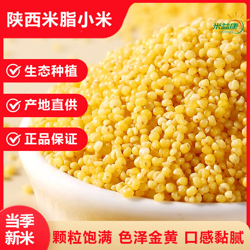 陕西黄小米今年食用新米粘粥养胃一斤批发农家黄小米自产小米粥|undefined