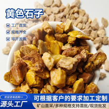 黄色石子水洗石园林造景装饰米黄碎石米黄卵石