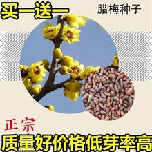 ²ɡD÷Nӡ@־GеľNӹľľľN