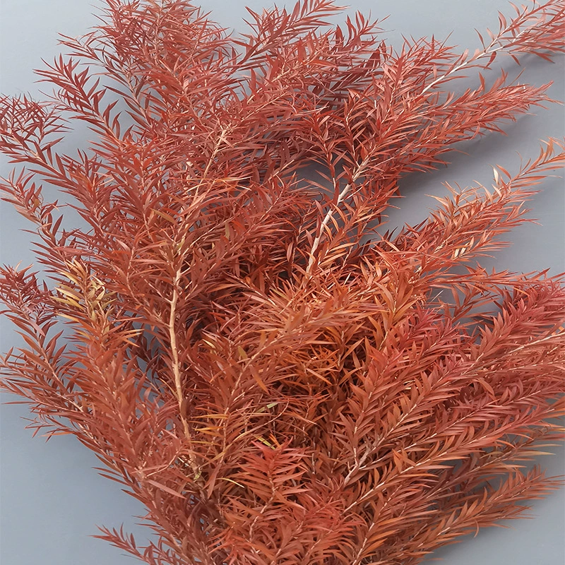 Eternal Life Ritter Thousand -layer Golden Flower Flower Eternal Leaf Material Bouncing Flower Insert Decoration Decoration Materials