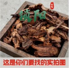 iꖃɹŰƽiƬiꖴɐ޽aݾ