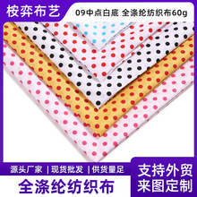 新款09中点白底涤纶布全涤面料时尚批发供应产地货源布料批发代发
