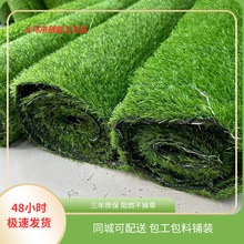 �YÓ��ƺ�˹����ϼٲ�Ƥ���������׃��@�؉|���̇����Gֲ�b�̺