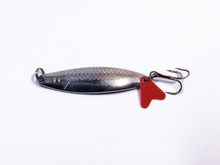 Half pattern fish sequin silver 9.5g/6cm