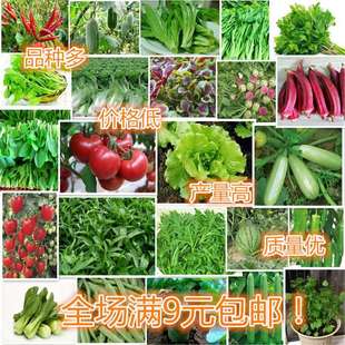 �߲˷N�Ӵ�ȫ�r��ͥԺ�̨�����ļ����N�uë�˷N�����[�S���߲���