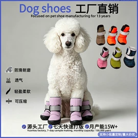 宠物鞋靴;狗狗服装;宠物袜子