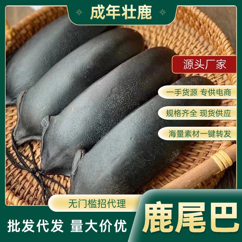 鹿尾巴干工厂直发整支干鹿尾整只吉林东北特产新鲜鹿鞭鹿尾骨煲汤