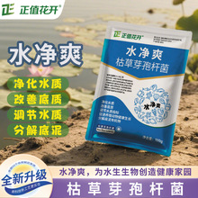 ˮ��ˬ�����~��ˮ�a�Bֳ�{ˮ��ˮ�ݲ�ѿ�ߗU����ˬ����ˮ�|�{����