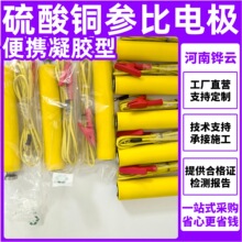 ��ЯCUS04 �αȵ缫������ �����ͳ�Ч����ͭ�αȵ缫�ο��缫