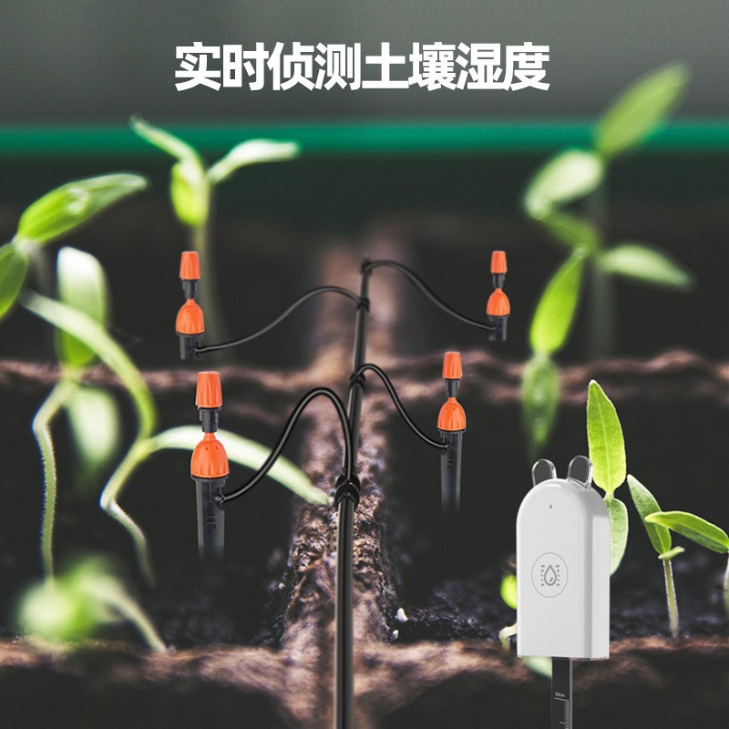 新款WP8611智能土壤湿度检测仪家用缺水提醒土壤湿度测量温度感应