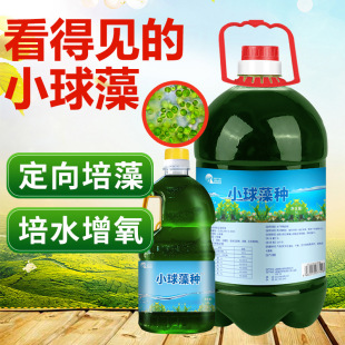 Algae Seed Chlorella Aquaculture Fertilizer Hydroponic Algae Oxygenation Diatomaceous Reservoir Shrimp Crab Fish Pond Compound Algae Small Ball Xichen