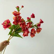 �� �ָ��ÿ� �F���� �Ҿ��b� ܛ�b��ˇ �zӰ���� �[����O