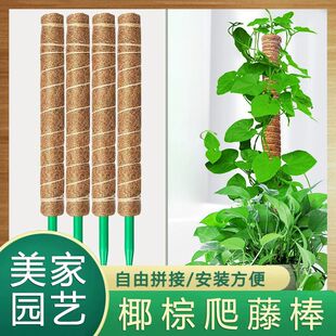 ������Ҭ��ֲ�����ټܾG�}֧�ΗU���ٻ����ؙ���������ƴ���¿�