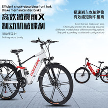 嚴選路捷電動自行車鋰電成人輕便鋁合金男女代步車助力Ebike出口