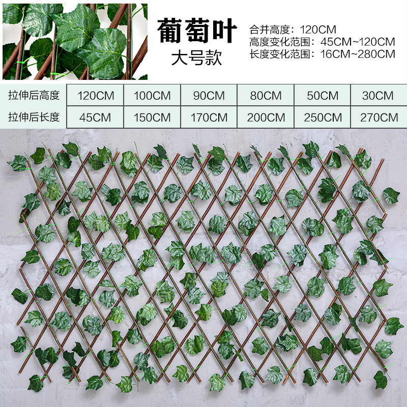 18201864350_77184706