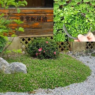 ��ײݚWʯ����؈�����A������~�^·�S�������@�ر�ֲ���ͺ��͟�