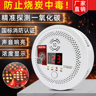Carbon Monoxide Alarm for Home Use, Indoor Heating, Honeycomb Coal, Soot, Carbon Co Detector