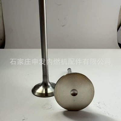 Valves and components 1015 intake valve