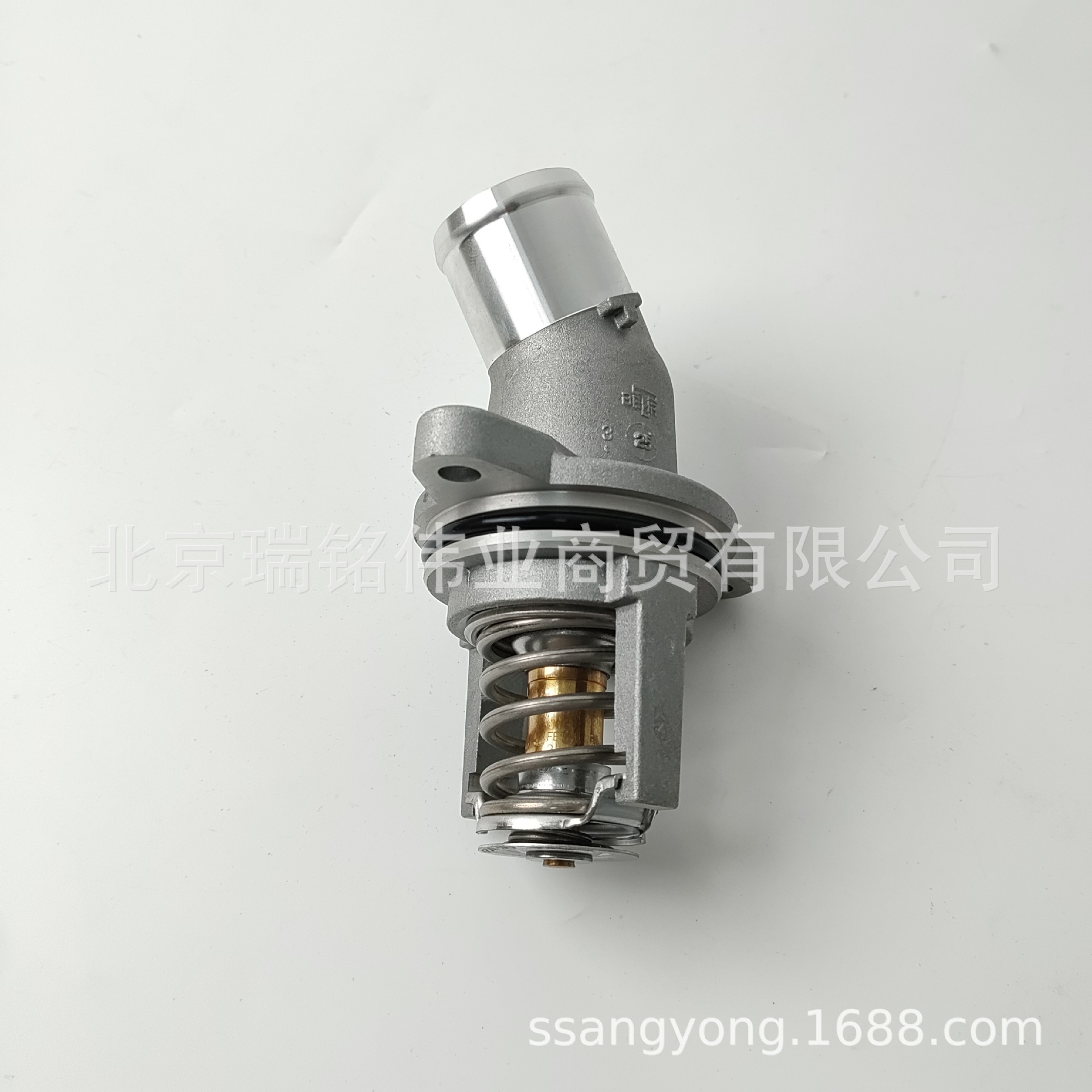Shuanglong 1732030175 Thermostat for Ssangyong Tivoli (Thermostat)
