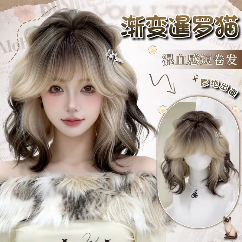 Gradient Siamese Cat Wig for Women with Mixed Race Look, Short Curly Siamese Gradient Atmosphere Natural Daily Full Wig
