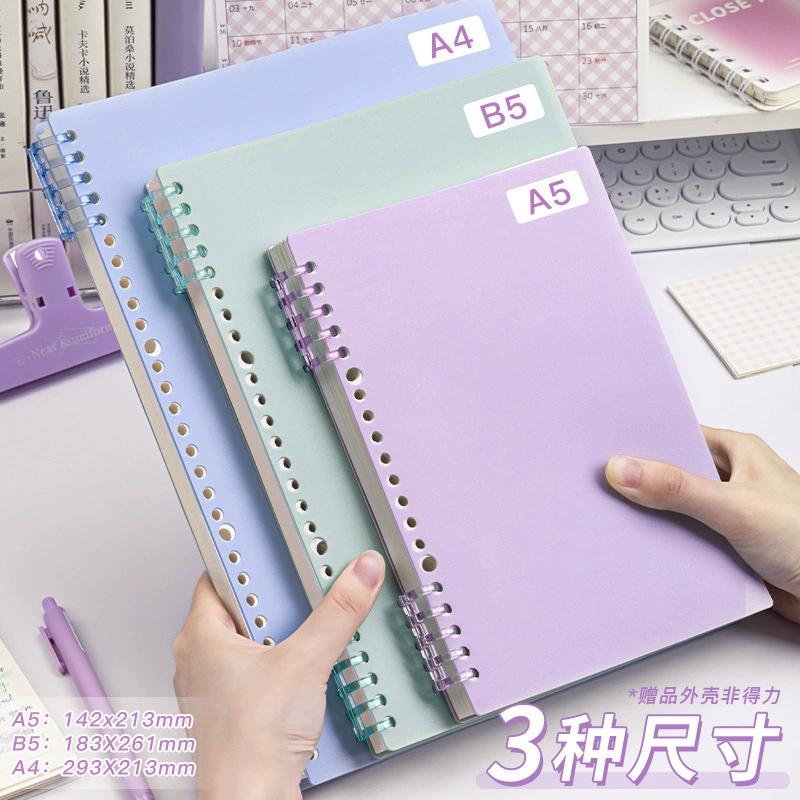 Removable notebook, laptop, tear-off sheet, for secondary school